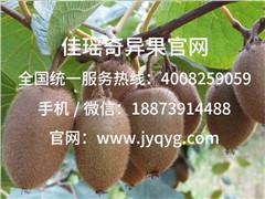 翠香獼猴桃